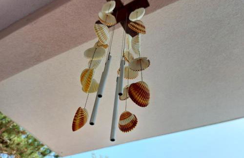 Apartmani Ciprijan - Foto 12