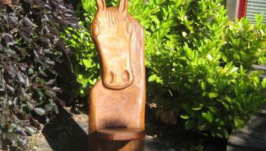 Finnhütte Möwe - Wittenbecker Tannen - Foto 2, Garden