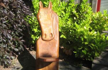 Finnhütte Möwe - Wittenbecker Tannen - Foto 2