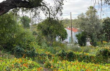 Três Figos - Foto 71