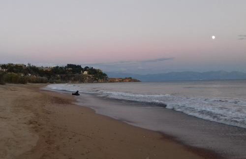 Margarita House - Photo 74