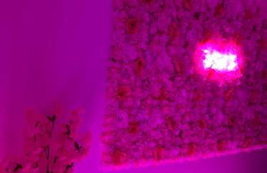 Suite Jacuzzi Giverny Paris - Foto 8