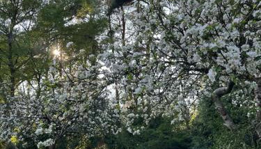 Tranquil home at Westerlands Farm, Sleeps 7, The South Downs - Foto 3