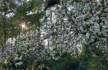 Tranquil home at Westerlands Farm, Sleeps 7, The South Downs - Foto 3