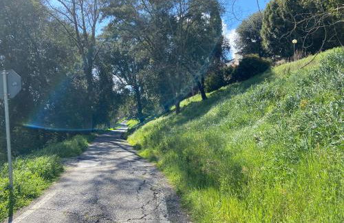 Il Podestà - Foto 39