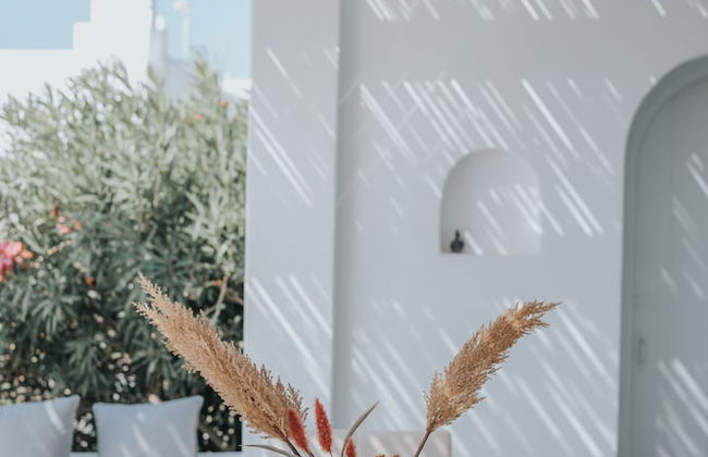 MyMykonos Villa - Foto 28