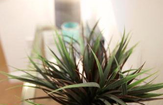 Horizons Apartments Newquay - Foto 38