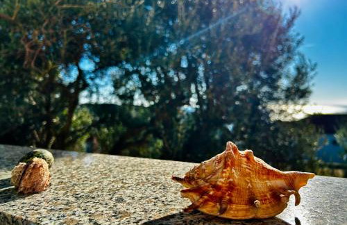 apartman MLIN 4 - Foto 11