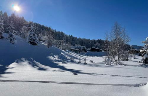 Chalet Clos du Nant Megève - Foto 39