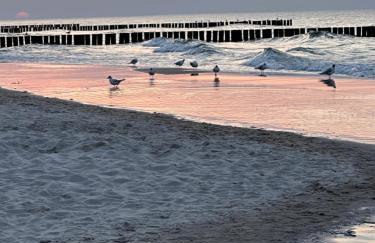 Gold Apartament z widokiem na morze Dziwnówek - Foto 38