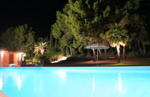 Terry Land Village - Foto 58