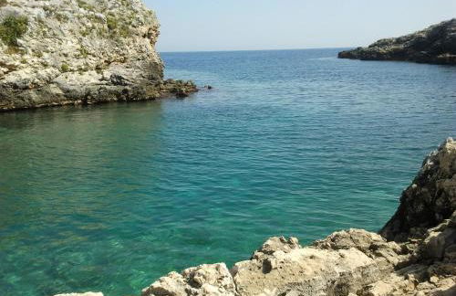 Masseria Vignenove - Foto 41