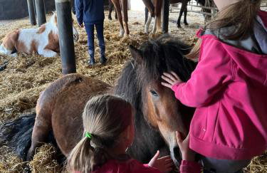 Hof Eichendiek Time Out Village - Foto 13