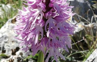 Casa MARESOLE - Foto 45