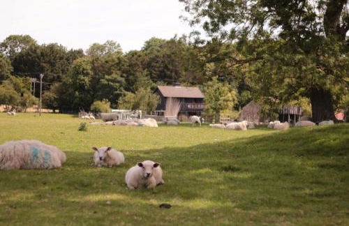 New York Public Library - Foto 27