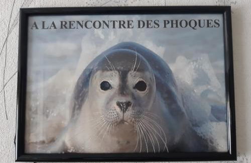 gîte le voyageur - Foto 24