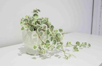 Strath Apartment - Foto 21