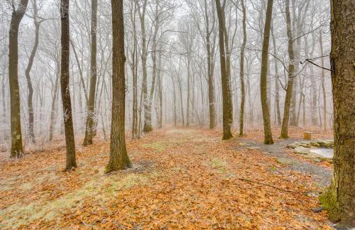 Getaway Near Hidden Valley Resort and Seven Springs - Foto 37