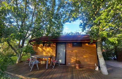 Toskania Kociewska - Photo 77