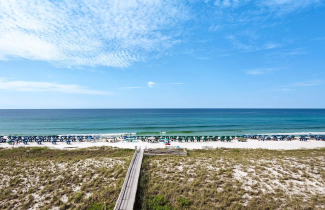 The Pearl 404 - Foto 75