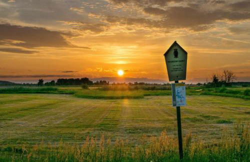 Ferienhof Rausch - Foto 4