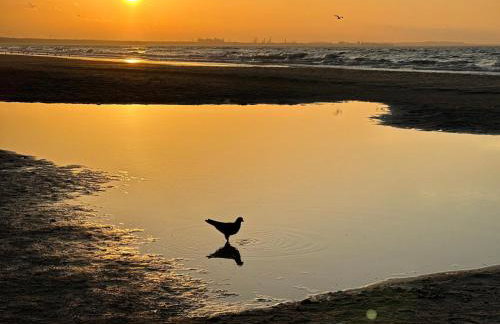 Wave Międzyzdroje Resort & SPA - C857 by Sealuu - Foto 35