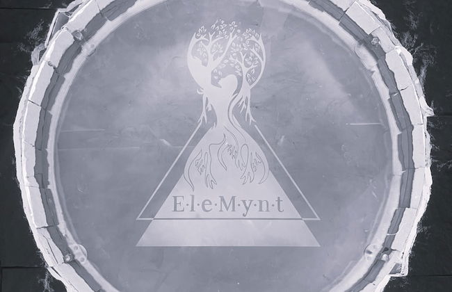 EleMYNT LifeStyle Hotel - Photo 73