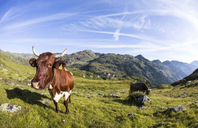 Top Location Gerlos! - Lovely Apartment - 6P - Foto 30