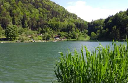 Chiemgauferienwohnungen - Maier - Foto 38