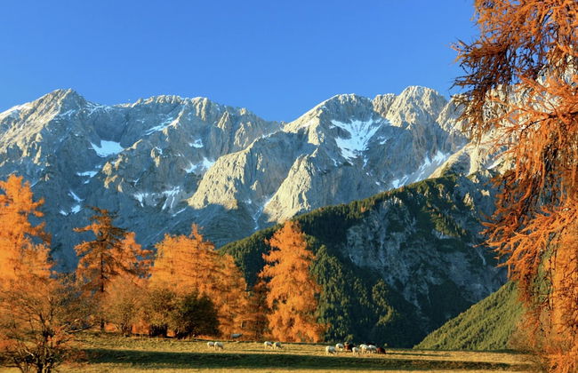 Cozy Apartment in Obsteig near Ski Area - Foto 36