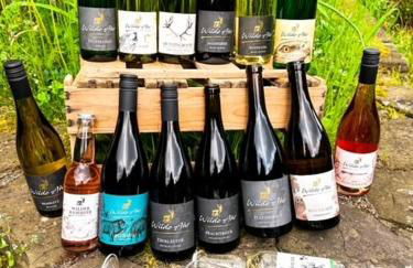 Knabbüüß - Foto 34