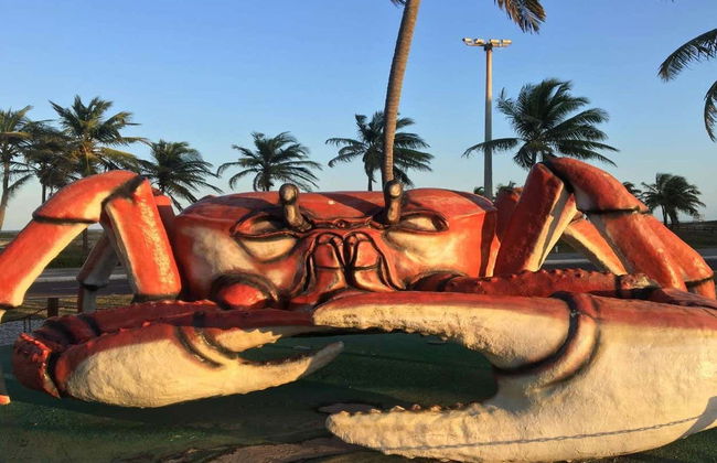 Aracaju & Praia de Aruana Tour - Foto 2