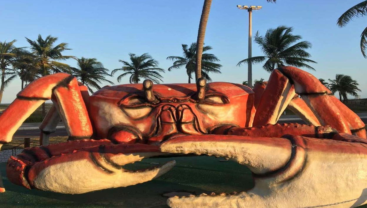 Aracaju & Praia de Aruana Tour - Foto 2