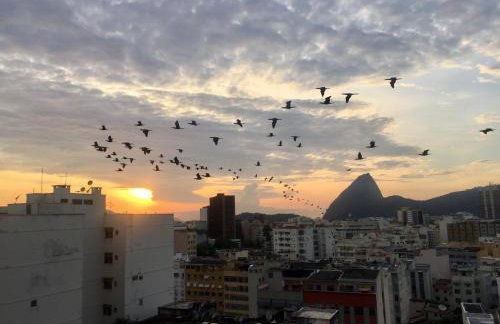 Studio Catete - Foto 19