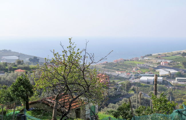 Toni (TZR240) - Foto 21