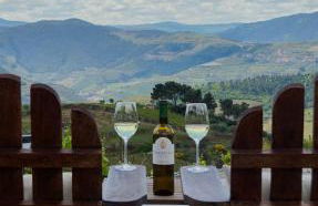 Casa do Santo - Wine & Tourism - Foto 12