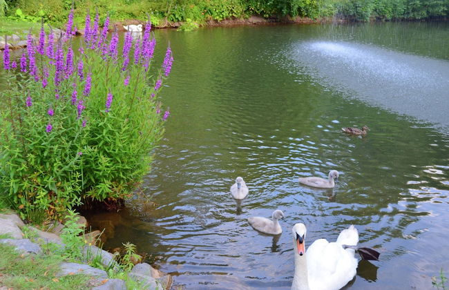 Wohnung mit Eigener Terrasse in Huddinge - Foto 34