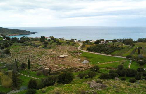 Little Blue - Photo 23