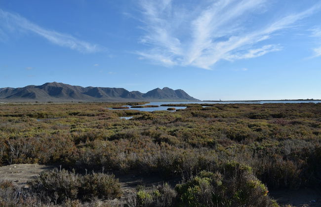 Cortijo la Molina de Cabo de Gata - Foto 39