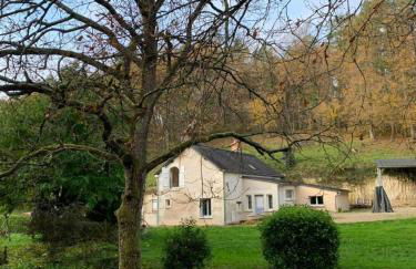 Altanka, Maison, calme au milieu de la nature près de Beauval, Chenonceau et autres chateaux de la Loire - Foto 40