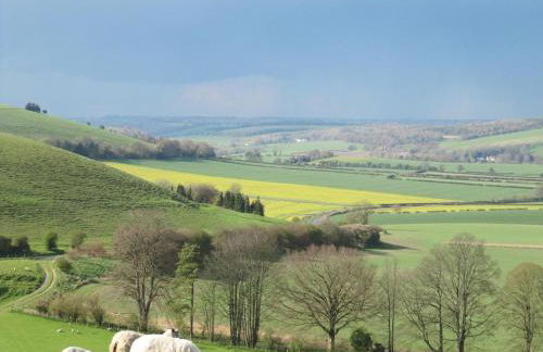Charming family home on edge of South Downs - Foto 18