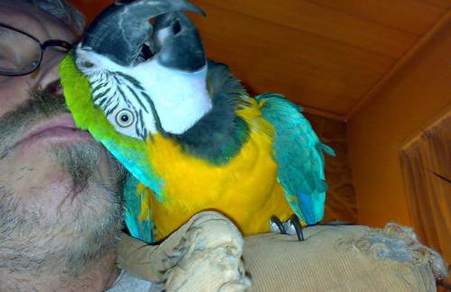 Tango ARA Cash - Foto 15