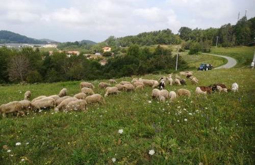 Agriturismo La Cascina - Foto 10