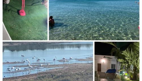 Il Fenicottero - Foto 2