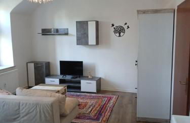 Zum Ritter Ferienwohnung 500 Meter zum Freizeitpark Plohn - Foto 5