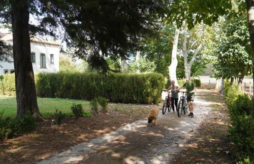 Quinta do Areal - Foto 49