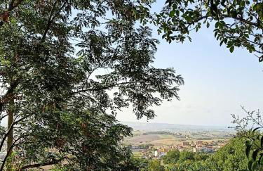 La casina di Alicia - Foto 24