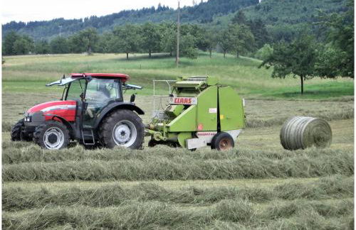 Ferienhof Oberle - Foto 25