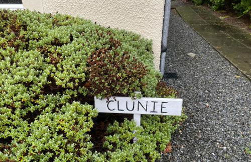 Claymore Guest House and Apartments - Foto 50