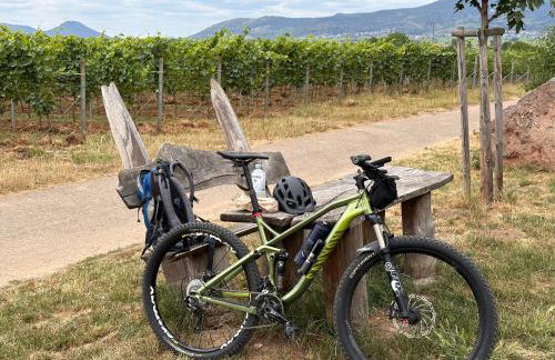 Ferienwohnung Weltachs - Foto 27